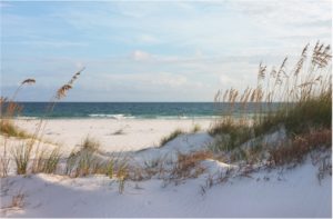 The Gulf of Mexico shore line with sea oats framing the scene.