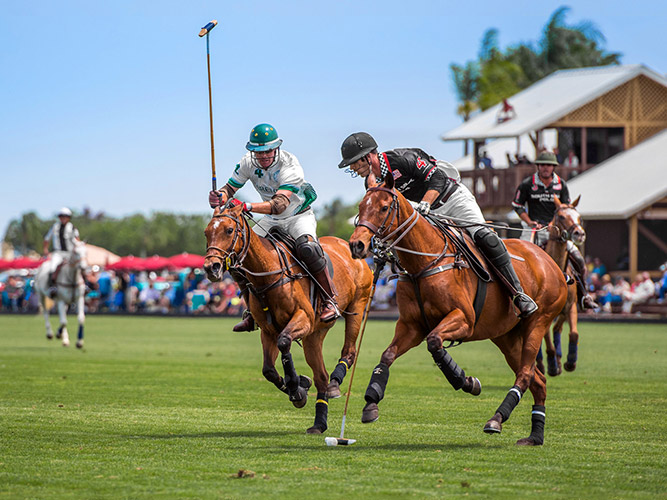 Sarasota Polo Club