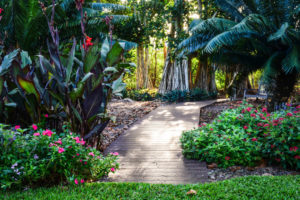 Selby Botanical Gardens