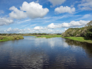 Photo of river at Myakka State Park