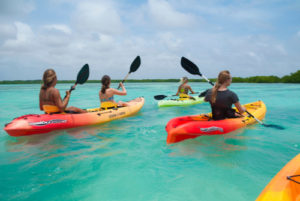 Group of people kayaking in bay