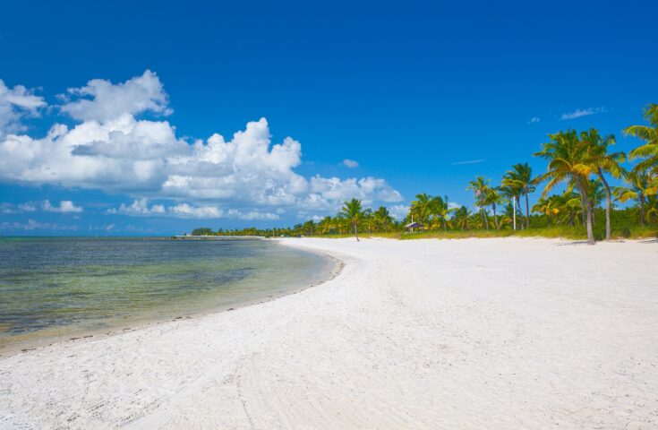 Siesta Key Beach with Palm Trees