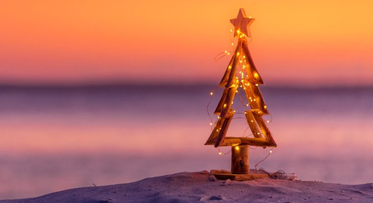 Christmas tree on beach