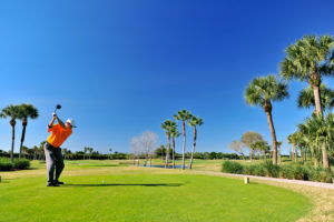 Man in red shirt golfing on bright green course with palm trees