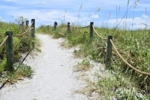 Sandy path with tall grass as entryway into Turtle Beach