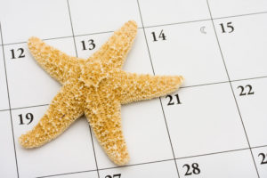 Starfish on a calendar