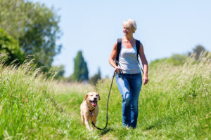 Woman walking a dog through tall green grass