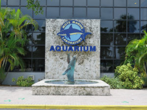 Mote Marine Laboratory and Aquarium in Sarasota Florida