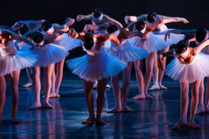 Dance company performing swan lake on stage