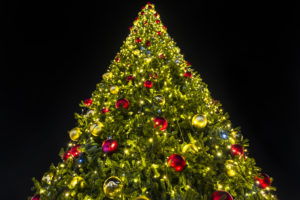 Large Christmas tree with red and gold ornaments and lights