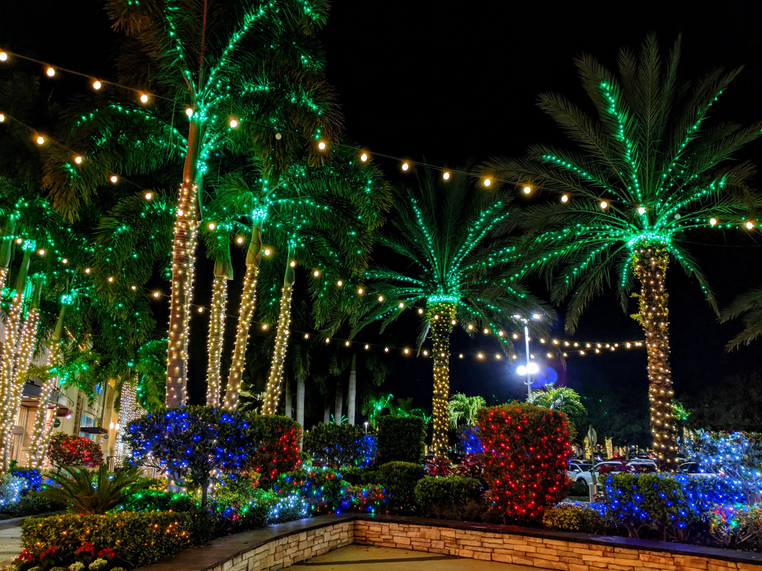 Selby Gardens Christmas Lights Fasci Garden