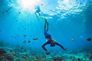 Snorkeling among fish and reefs