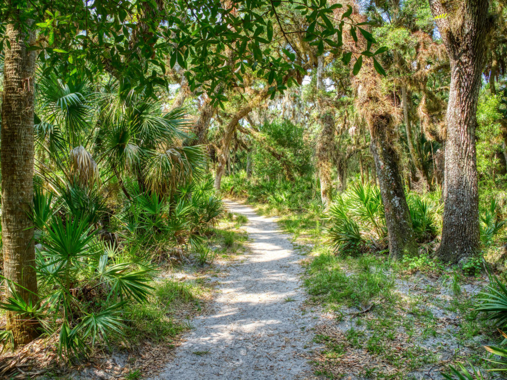 Favorite Nature Trails and Hiking Near Siesta Key Best Western Plus