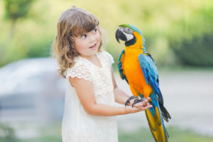 Little girl holding a colorful Macaw