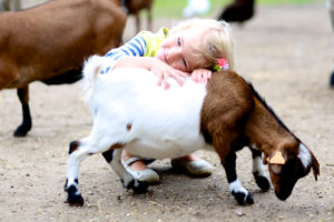 Little girl hugging a goat