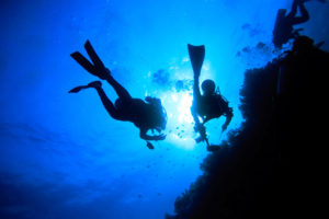 Two divers explore underwater world