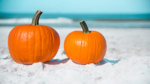 Pumpkin on the beach. Two pumpkins on sand beach shore. On background turquoise ocean water. Autumn in Florida. Fall season. Tropical nature.