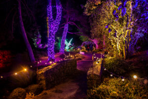 VANCOUVER, Canada, - October 26 2019: VanDusen Botanic Garden, "Glow in the garden" even 2019