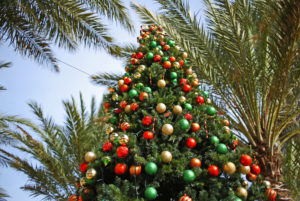 Florida Christmas Tree