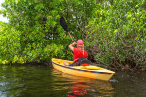 Woman kayaking mangrove tunnel
