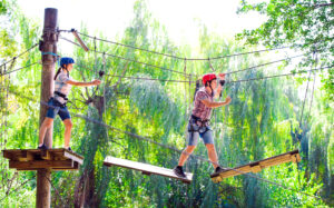 People on obstacle course in trees