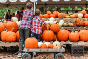 Two boys at a pumpkin festival
