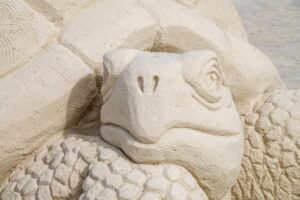 Sand sculpture of a turtle